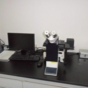 metallographic microscope